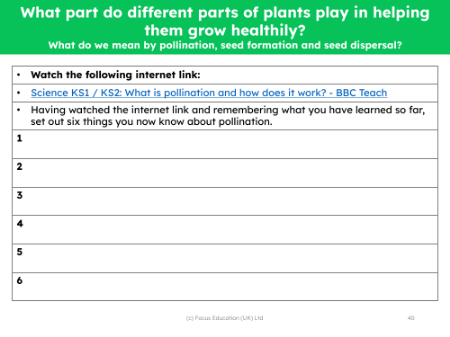 What do you know about pollination? - worksheet