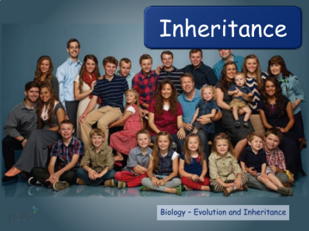 Inheritance - Presentation