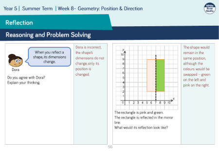 Reflection: Reasoning and Problem Solving
