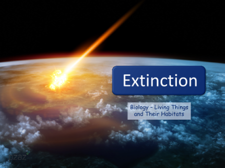Extinction - Presentation
