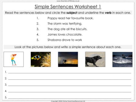 Simple Sentences - Worksheet