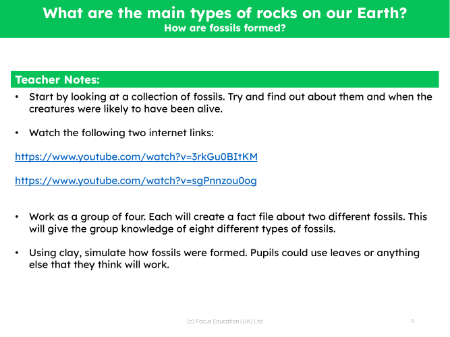 How are fossils formed? - Teacher notes