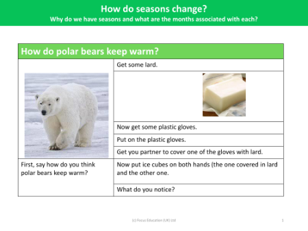 How do polar bears keep warm? - Activity - Year 1