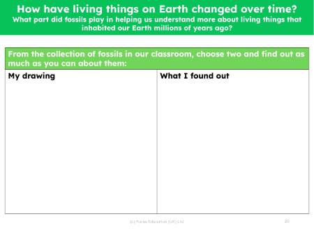 What part did fossils play in helping us understand more about living things that in habited our Earth millions of years ago? - Fossil research task - worksheet