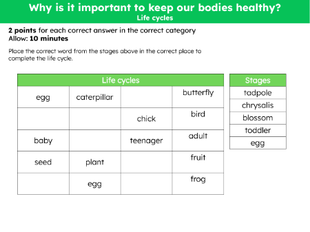 Match up - Life cycles