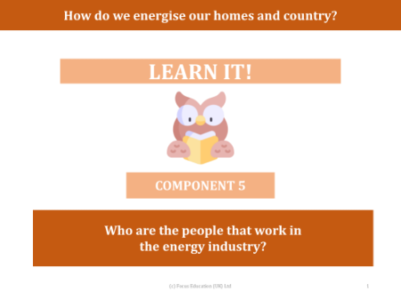 Who are the people that work in the energy industry? - presentation