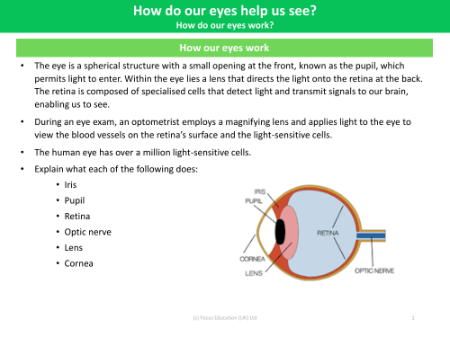 How our eyes work - Info Pack - Year 6