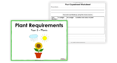 Plant Requirements