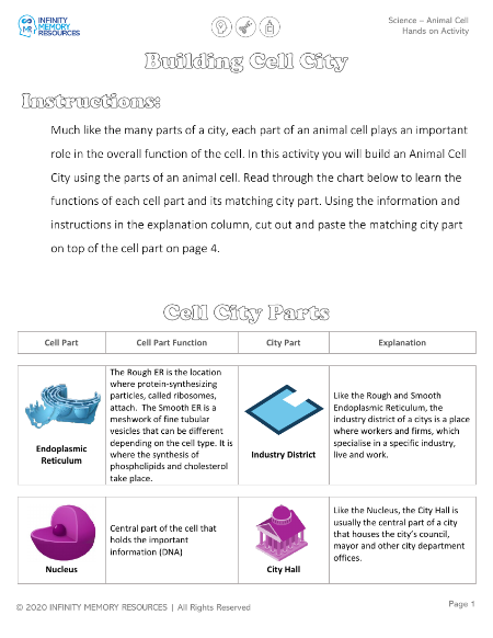 Animal Cell - Hands on Activity