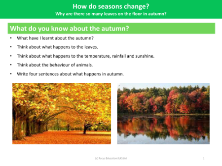 What do you know about the autumn? - Seasonal Change - Year 1