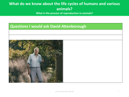 Questions I would ask David Attenborough - Worksheet - Year 5