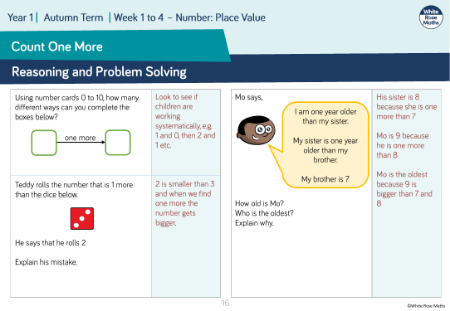 Count one more: Reasoning and Problem Solving