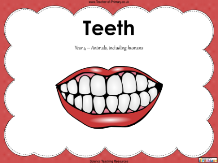 Teeth - PowerPoint