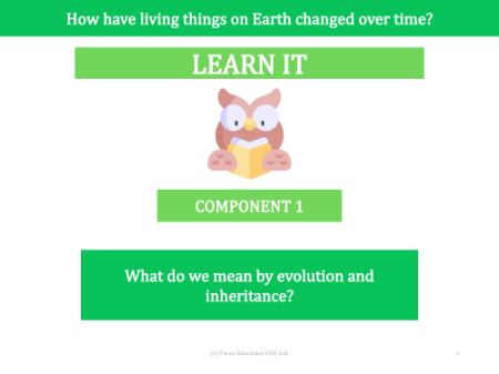 What do we mean by evolution and inheritance - presentation