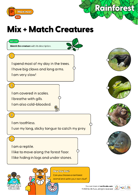 Mix and match creatures