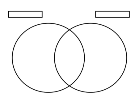 The Human Life Cycle - Venn Diagram