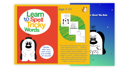 Spell Tricky Words with 'any' and 'every' And Middle ‘ai’ Sounds (7-11 years)
