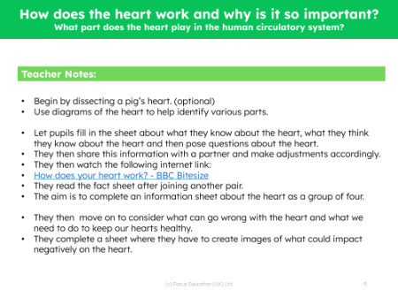 What part does the heart play in the human circulatory system? - Teacher notes
