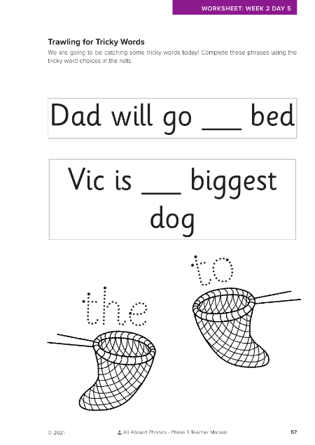 Trawling for tricky words activity  - Worksheet 