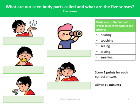 The Senses  - Assessment for learning activity