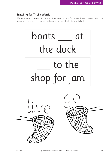 Trawling for tricky words activity  - Worksheet 