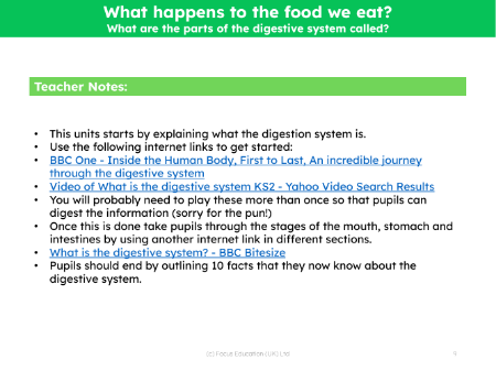 What are the parts of the digestive system called? - Teacher notes