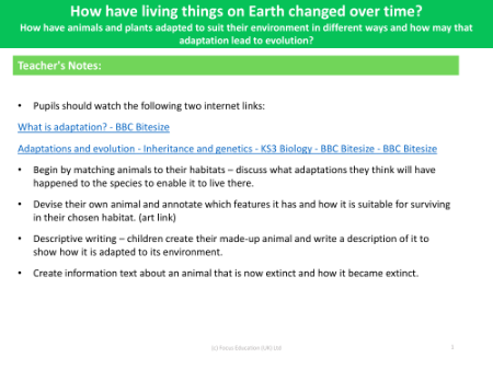 How have animals and plants adapted to suit their environment in different ways and how may that adaptation lead to evolution? -  teacher's notes