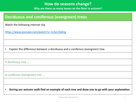 Deciduous and coniferous (evergreen) trees - Worksheet - Year 1
