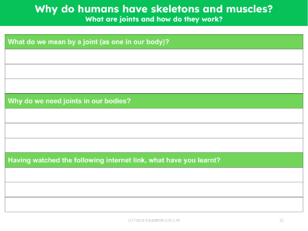 What are joints and how do they work? - Worksheet