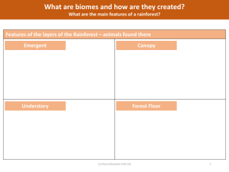 Animals found in layers of the rainforest - Worksheet