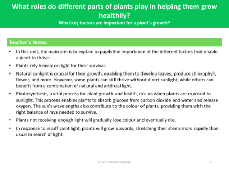 What are the key factors that are important to a plant's growth? - teachers notes