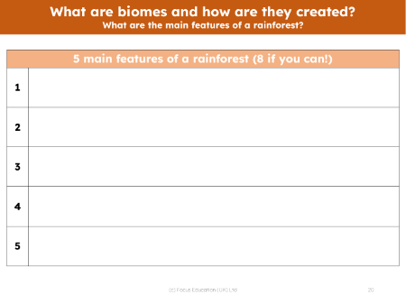 5 main features of a rainforest - Worksheet