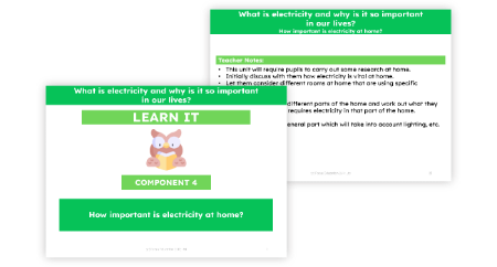 How important is electricity at home?