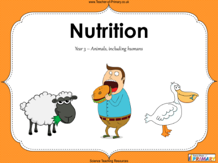 Nutrition - PowerPoint