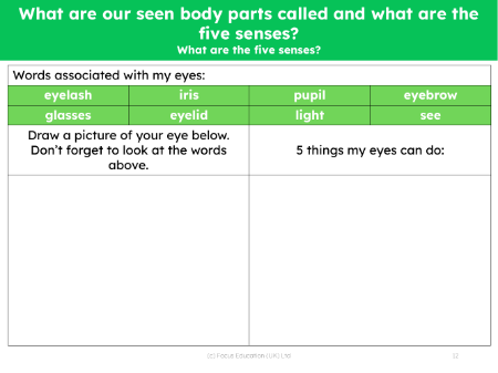What are the five senses? - What can my eyes do? - Worksheet
