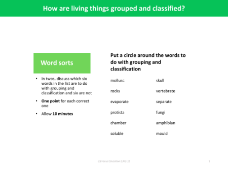 Word sorts - Classifying living things