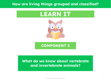 What do we know about vertebrate and invertebrate animals? - Presentation