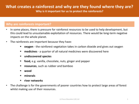 Why are rainforests so important? - Info sheet