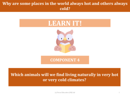 Which animals will we find living naturally in very hot or very cold climates? - Presentation