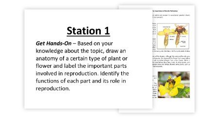 Plant Sexual and Asexual Reproduction - 7 Engaging Lab Stations