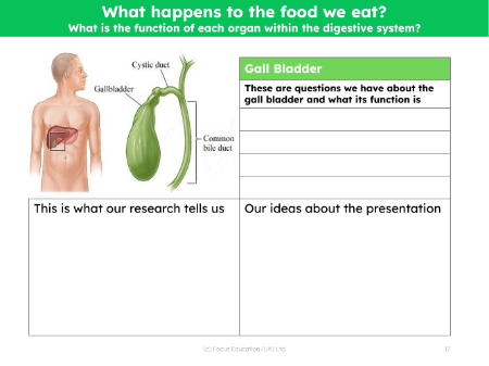 Gall bladder - Research sheet