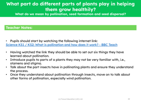 What do we mean by pollination, seed formation and seed dispersal? - teacher's notes