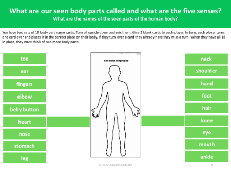 How many body parts can you name? - card game - Worksheet