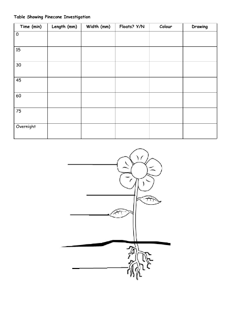 Identifying Plants - Results Tables
