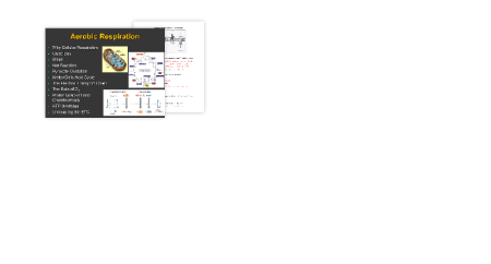 Aerobic Respiration