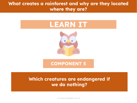 Which creatures are endangered if we do nothing?  - Presentation