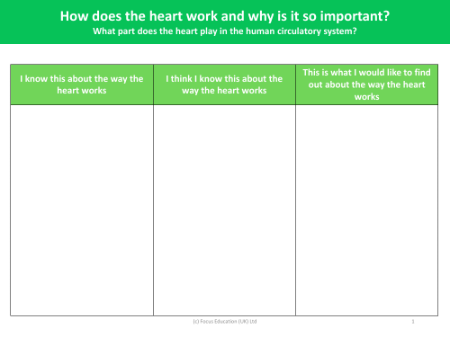 How the heart works - What I know - Worksheet