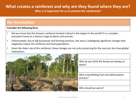 Deforestation - Info sheet