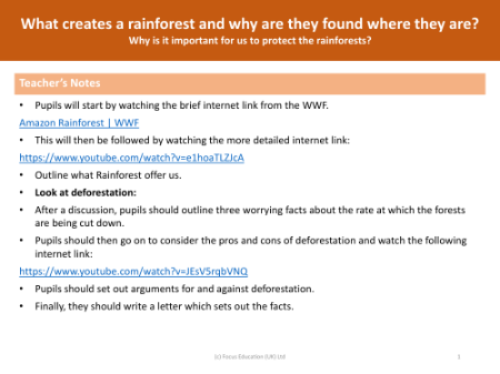 Why is it important for us to protect the rainforests? - Teacher notes