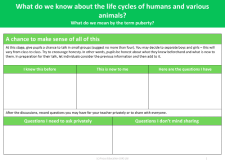 A chance to make sense of all of this - Worksheet - Year 5